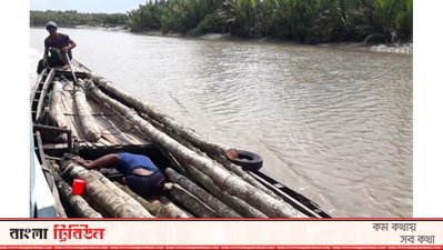 বনবিভাগের ট্রলারে করে গাছ পাচার