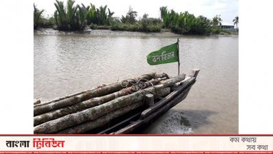 বনবিভাগের ট্রলারে করে গাছ পাচার