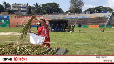 বাজার থেকে কচুর লতি নিচ্ছেন এক নারী