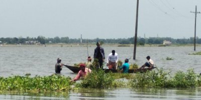 পানিতে তলিয়ে গেছে ধান ক্ষেত