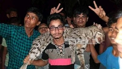 মেছোবাঘ হত্যা করে উৎসব, বনবিভাগের মামলা