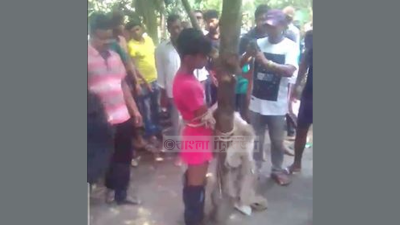 গাছের সঙ্গে বাঁধা ইমন