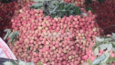লিচু বাজার