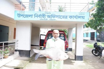 বড়শি দিয়ে ধরা কাতল মাছ