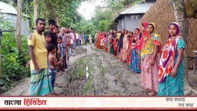 সরিষাবাড়ীতে রাস্তায় ধানের চারা রোপণের পর রাস্তা সংস্কারের দাবিতে এলাকাবাসীর মানববন্ধন।