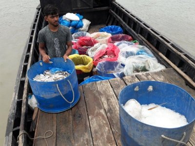 ১৫ মণ বিষযুক্ত মাছ জব্দ