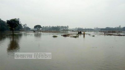 দিনাজপুরের সব নদীর পানি বিপদসীমা ছুঁই ছুঁই