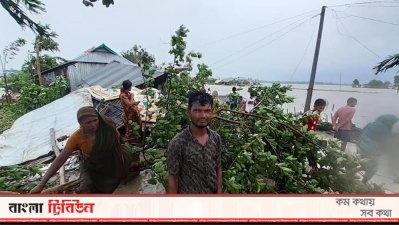 ঝড়ে ভেঙে পড়েছে বসতঘর