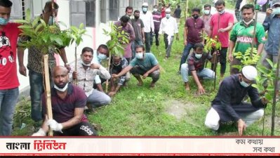 মুজিব শতবর্ষে লক্ষ্মীপুর জেলা যুবলীগের গাছ লাগানোর কর্মসূচি শুরু