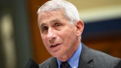 ফাউচি