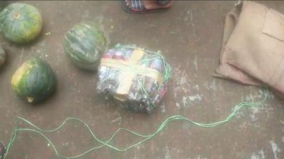 কুমড়োবোঝাই পিকআপ থেকে ফেনসিডিল ও গাঁজা উদ্ধার