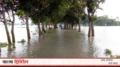 জামালপুরে বন্যায় তলিয়েছে সড়ক