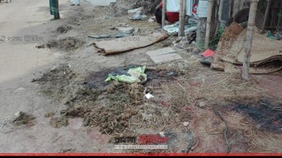 কোরবানি ব্যবস্থাপনায় ৭ সুপারিশ