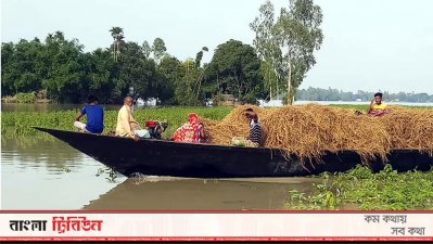 নৌকায় করে গোখাদ্য বিতরণ করা হচ্ছে।