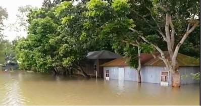 সিরাজগঞ্জ সদরের খোকশাবাড়ি ইউনিয়নের ছোনগাছার ভাটপিয়ারীর বন্যার্ত ঘরবাড়ি