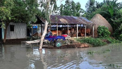 সিরাজগঞ্জের বন্যা পরিস্থিতি
