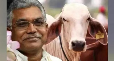 গোমূত্র পান করি, তাই ভালো থাকি : দিলীপ ঘোষ