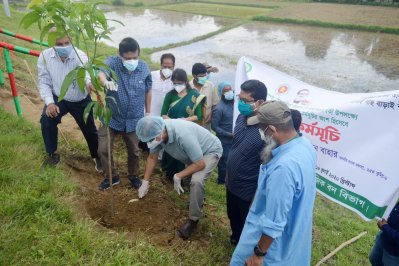 কুমিল্লায় বৃক্ষরোপণ কর্মসূচির উদ্বোধন করছেন অতিথিরা