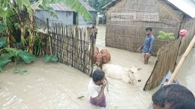 আশ্রয়কেন্দ্রে নিয়ে যাওয়া হচ্ছে