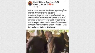 ফেসবুক পেজে কোরবানির গরু বিক্রির প্রচারণা