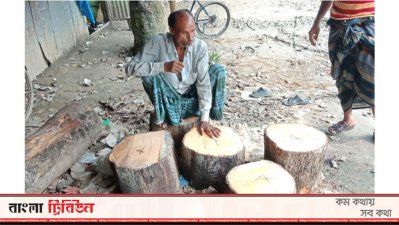 গাংনীতে খাইট্টা বিক্রি করছেন একজন বিক্রেতা