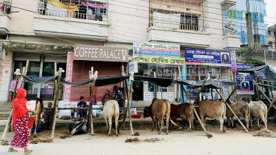 বনশ্রী এলাকার চিত্র