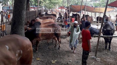 ধূপখোলা মাঠের হাট