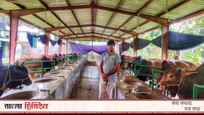 হ্যান্ডশেক অ্যাগ্রোর খামার