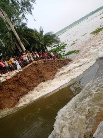 বন্যায় ভেঙে গেছে নাটোরের এই বাঁধ