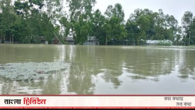 নদীবর্তী পুরো এলাকাতেই আছে বন্যার পানি।