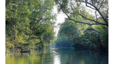 জেলপালানো দাগি আসামিরা এখন সুন্দরবনে বেপরোয়া দস্যু