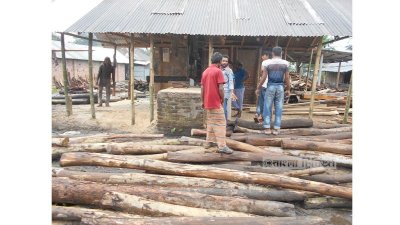 স&rsquo;মিলেও নেই কাঠের গুঁড়ির চাহিদা।