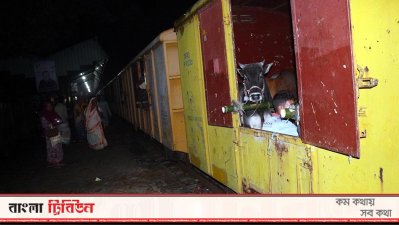কোরবানির পশু নিয়ে জামালপুর থেকে ঢাকায় আসছে স্পেশাল ক্যাটেল ট্রেন