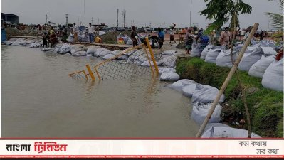 বুধবার সকাল থেকে জিও ব্যাগ দিয়ে ভাঙন রোধের চেষ্টা করতে দেখা যায়