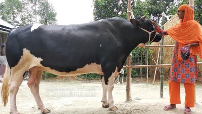 জয়নব বেগমের &lsquo;সোনাবাবু&rsquo;