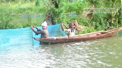 গোপালগঞ্জে মৎস্যঘের রক্ষায় ঘেরের চারপাশে জাল লাগাচ্ছেন শ্রমিকরা।