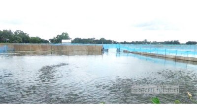 বন্যার পানি ঢোকায় জাল লাগিয়েও রক্ষা করা যায়নি ঘেরের মাছ