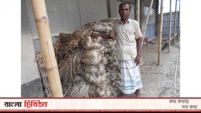 পাটের বাম্পার ফলন