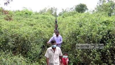 বাঘ খুঁজতে বাচ্চাসহ পাবলিক ঢুকে গেছে পরিত্যক্ত চা বাগানে। সেখানেই পাওয়া গেছে সত্যিকারের বাঘের ছাপ।