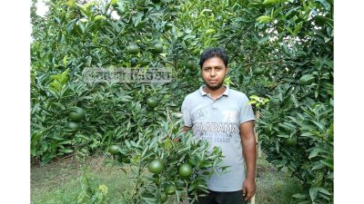 বিশ্ববিদ্যালয় জীবন শেষ করার আগেই কৃষি উদ্যোক্তা হিসেবে সাফল্য
