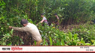 বাঘের সন্ধানে কাটা হচ্ছে জঙ্গল