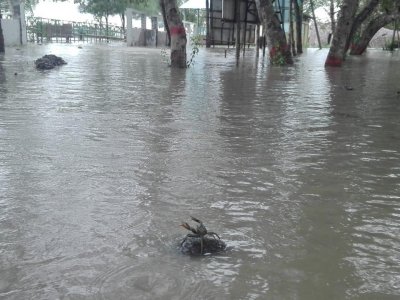 পানির নিচে শতাধিক গ্রাম, তলিয়ে গেছে মৎস্য খামার