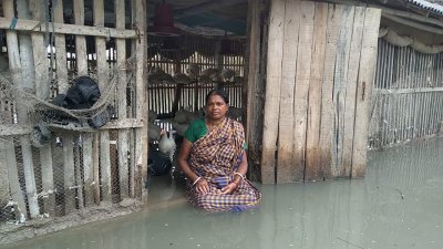 বর্ষণে বাড়িঘর প্লাবিত