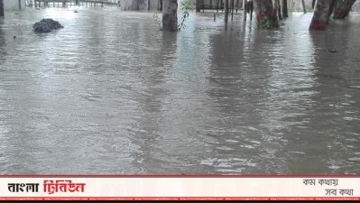 এ বছর প্রাকৃতিকভাবে কুমিরের বাচ্চা বৃদ্ধির বিষয়ে দেখা দিয়েছে অনিশ্চয়তা