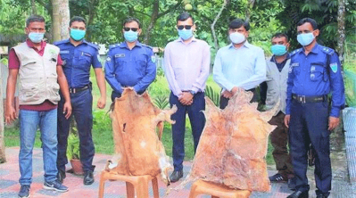 মায়া হরিণের চামড়া উদ্ধার