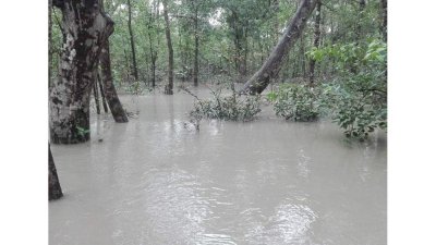 জোয়ারে ডুববে আর ভাঁটায় ভেসে উঠবে এটাই সুন্দরবনের নিয়তি। পুরো বিষয়টাই ম্যানগ্রোভ বনের জন্য প্রাকৃতিক।