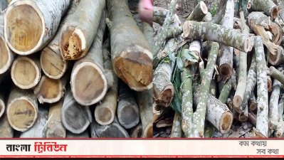 উদ্ধার কাঠ