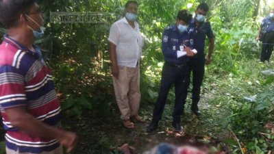 মেহেরপুরে মাদ্রাসার খাদেমকে কুপিয়ে হত্যা