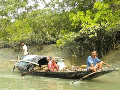 মাছ ধরতে নেমেছেন সুন্দরবনের জেলেরা 