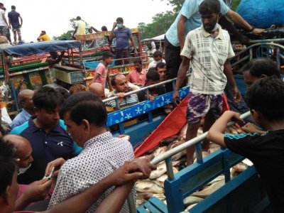 মরে যাওয়া মাছ নিয়ে বাজারে ভিড় করেন ব্যবসায়ীরা